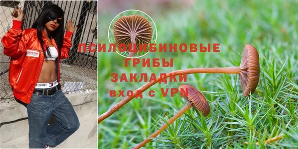 метамфетамин Лиски