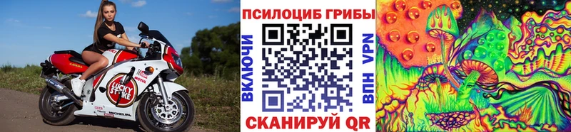 Купить где  Петровск  Галлюциногенные грибы мухоморы 